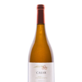 CASAR DE BURBIA, GODELLO FERMENTADO EN BARRICA