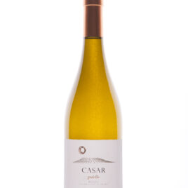 CASAR DE BURBIA, GODELLO