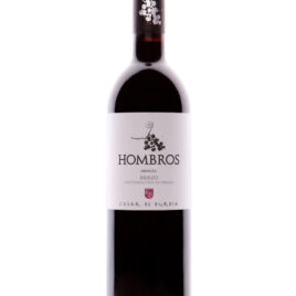 CASAR DE BURBIA, HOMBROS