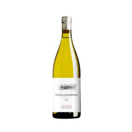 MUSTIGUILLO, FINCA CALVESTRA 2015