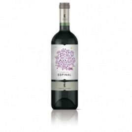 BODEGA FAMILIA CASTAÑO, DOMINIO ESPINAL TITNO