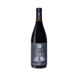 MG WINES, LAVIA FINCA PASO MALO 2013