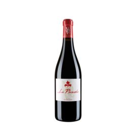 MAS QUE VINOS, LA PLAZUELA 2011
