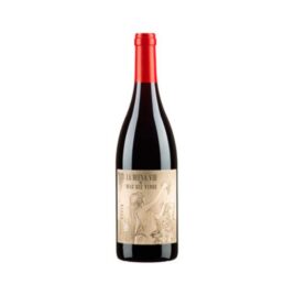 MAS QUE VINOS, LA BUENA VID 2011