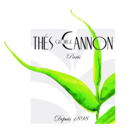 George Cannon Tes
